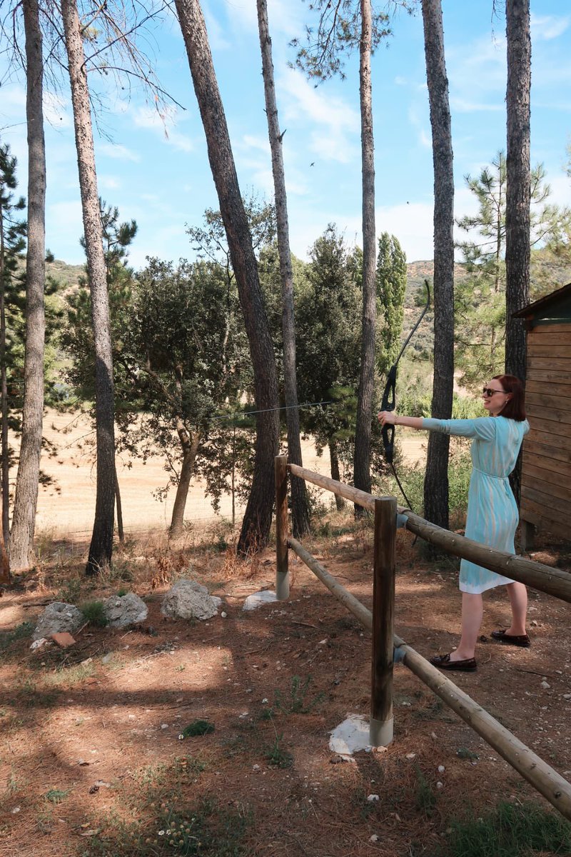 Aisling Barrett tweet media