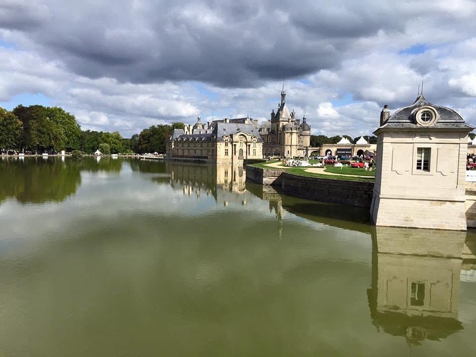 clive branch tweet media