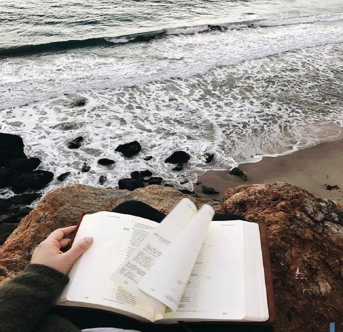 Good morning, my love. I hope you had a restful sleep and are prepared to conquer the day ahead