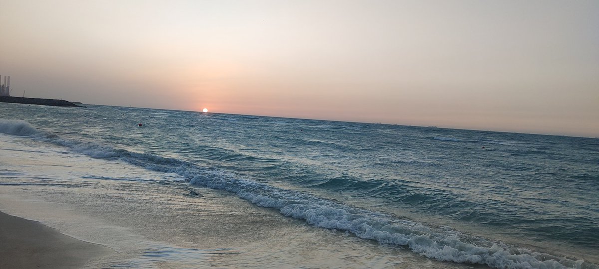 موكورا tweet media