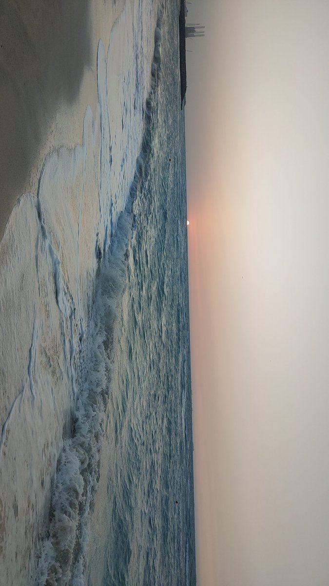 موكورا tweet media