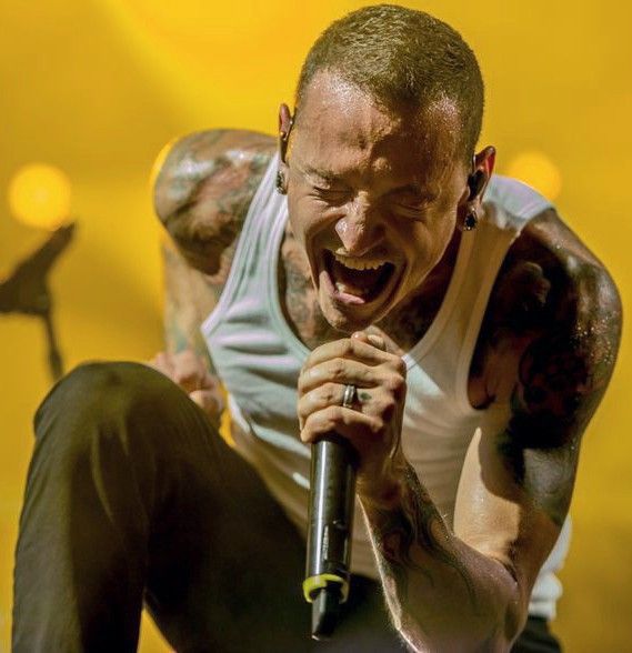 Respect to chester for this song and I would like to hear this song in hsr
#LinkinPark #HonkaiStarRail