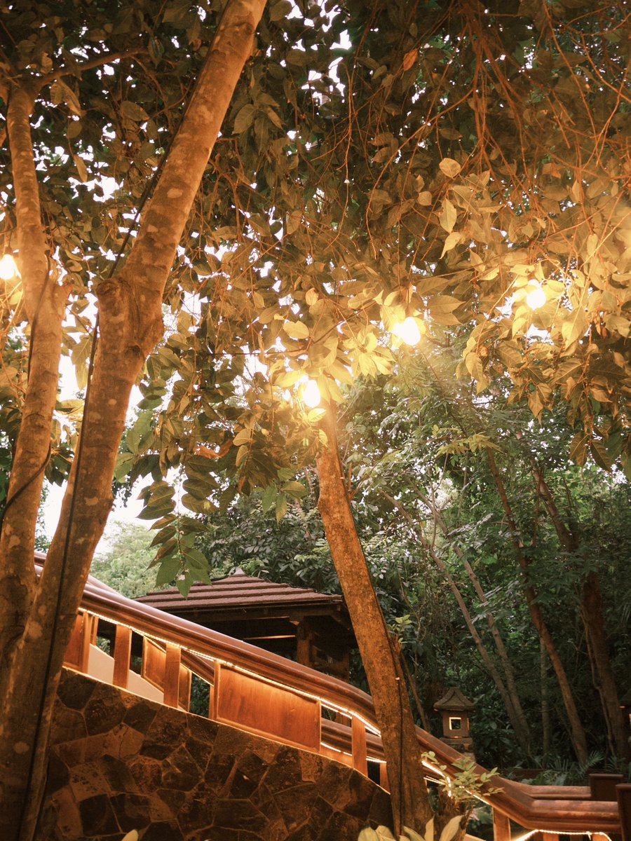 leya ౨ৎ goodnotes & ankimobile ₱80 • dazzcam ₱40 tweet media