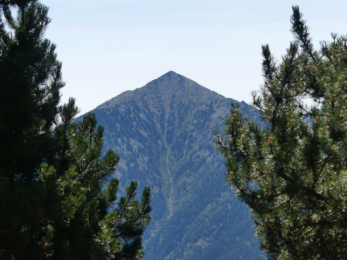mabiro08's tweet photo. 📸 📍Alta Cerdanya, agost de 2025.

#fotografia #natura #NaturePhotography @naturaibio https://t.co/r4yzRUBF7R
