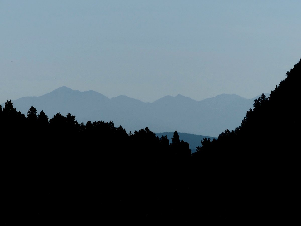 mabiro08's tweet photo. 📸 📍Alta Cerdanya, agost de 2025.

#fotografia #natura #NaturePhotography @naturaibio https://t.co/r4yzRUBF7R