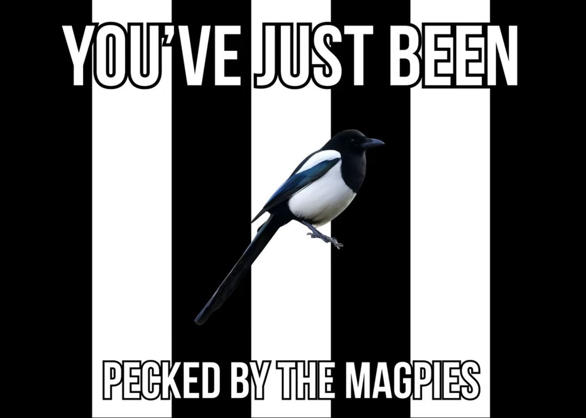 Scott Heaton tweet media