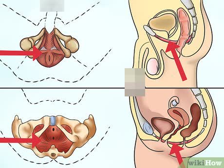 عزيزي الرجل ركز معي 🚨

إذا عندك أحد هذة المشاكل حلها سهل ان شاء الله 
ضعف الشهوة وضعف الانتصاب و سرعة القذف

فضل التغريدة ♥