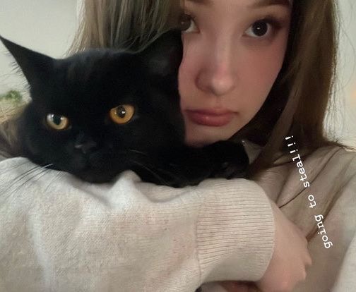 tinakiquack's tweet photo. with cats! 🐈‍⬛🐈 https://t.co/WqjIZsGcWQ