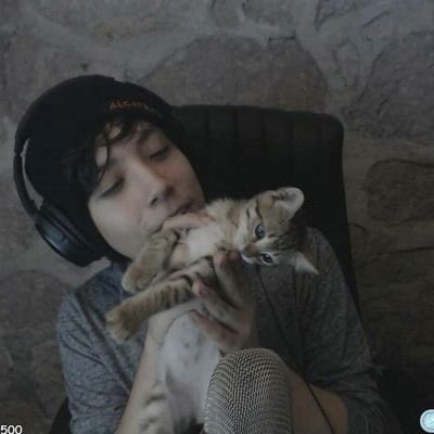 tinakiquack's tweet photo. with cats! 🐈‍⬛🐈 https://t.co/WqjIZsGcWQ