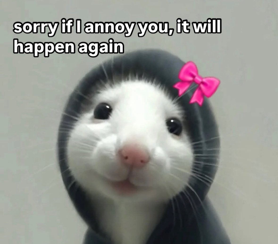 raccoonesthetic's tweet photo. https://t.co/lnUGk3qo0f
