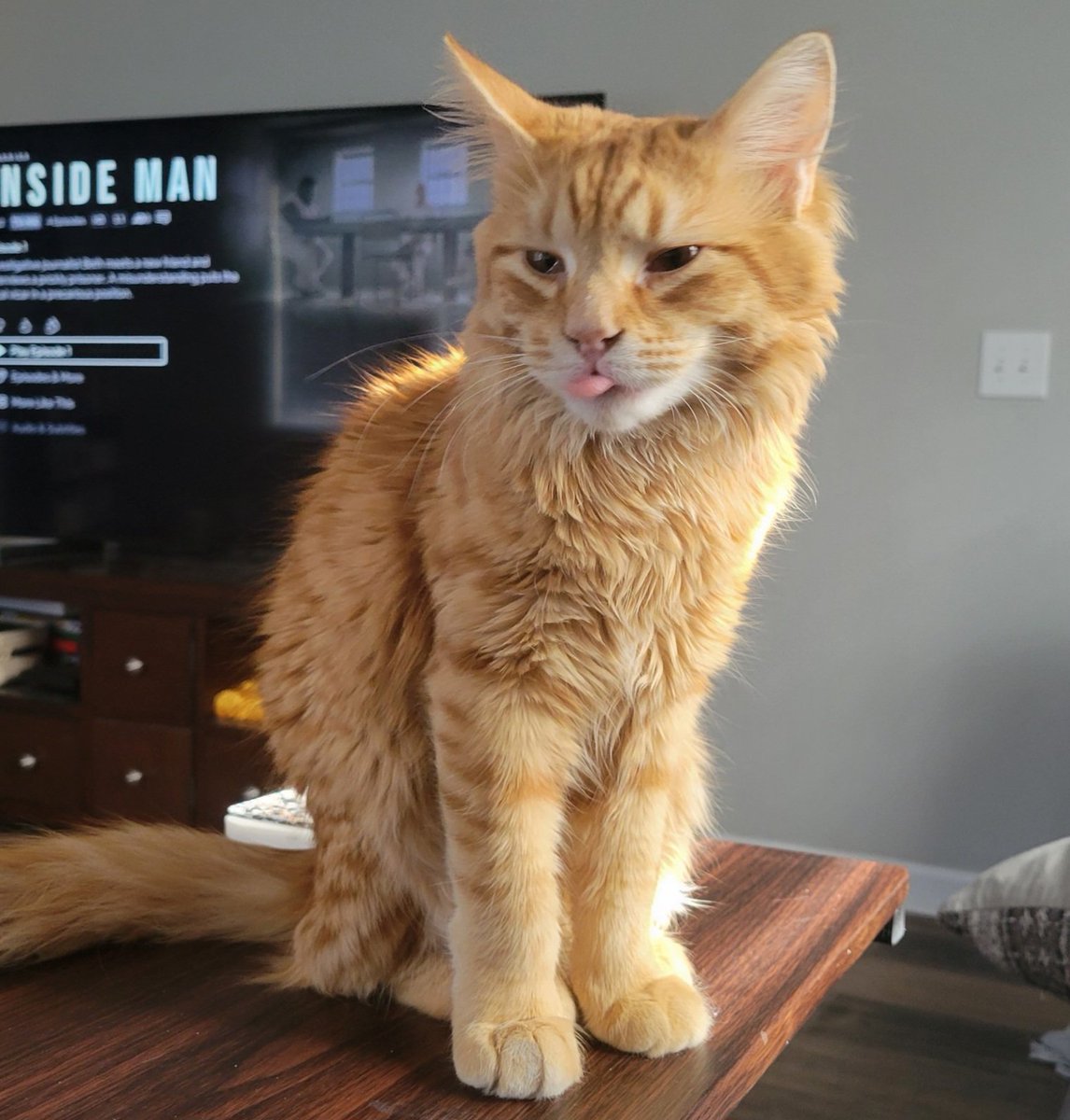 Norn-Queen Kya tweet media