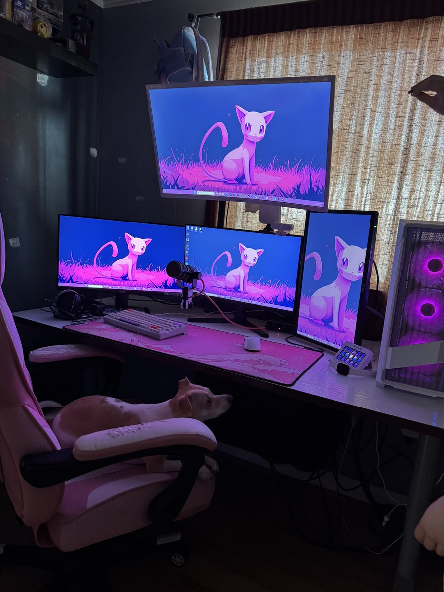 The setup😍😝

Puppy is loving it😅

#LiveAF <a href="/elgato/">Elgato</a>