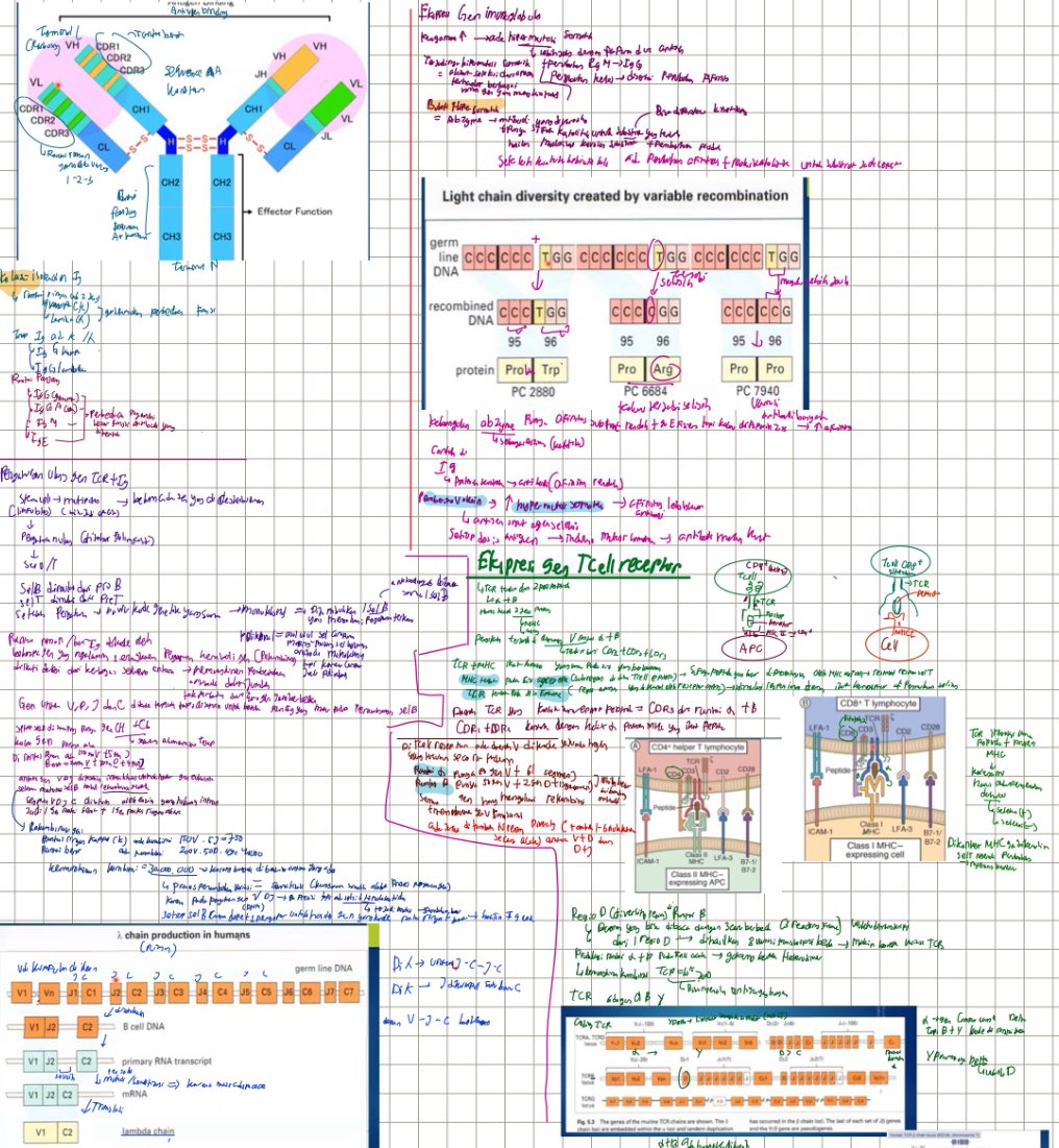 apyrrus's tweet photo. @thatriolaguy Would dooo!! Rigth after i figure out autoimune disease and neurological pathway (is neurology a popular media?)😔 https://t.co/DclL4aPUdc