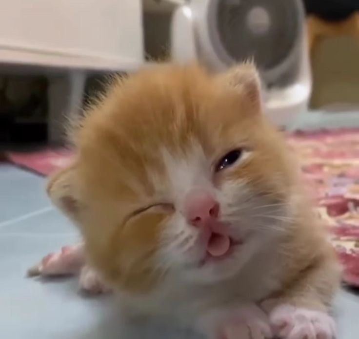 So eepy