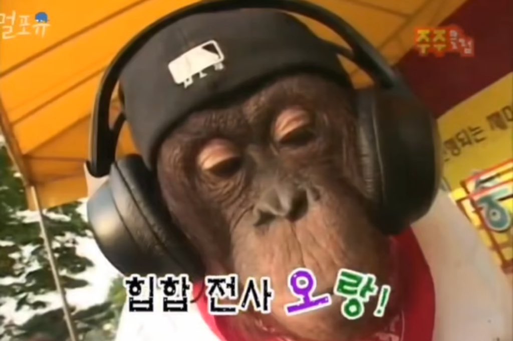 gihyeonibabo tweet picture