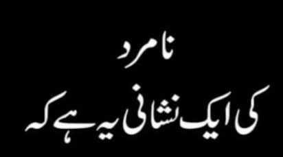 Hamayl (حمائل) tweet media