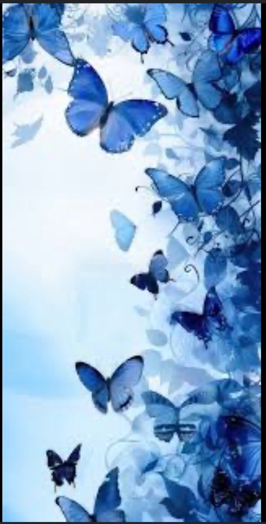 thenewme (@glenn_sonya) on Twitter photo 