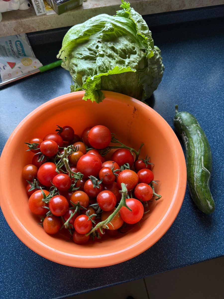 Ich liebe meinen Garten
