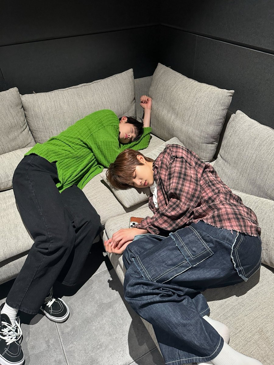 이거 강아가 찍은 사진인 것까지가 최종 귀엽다 강아가 자는 소파에 다른 강아가 같이 자고 있는 걸 또 다른 강아가 찍은 거라고