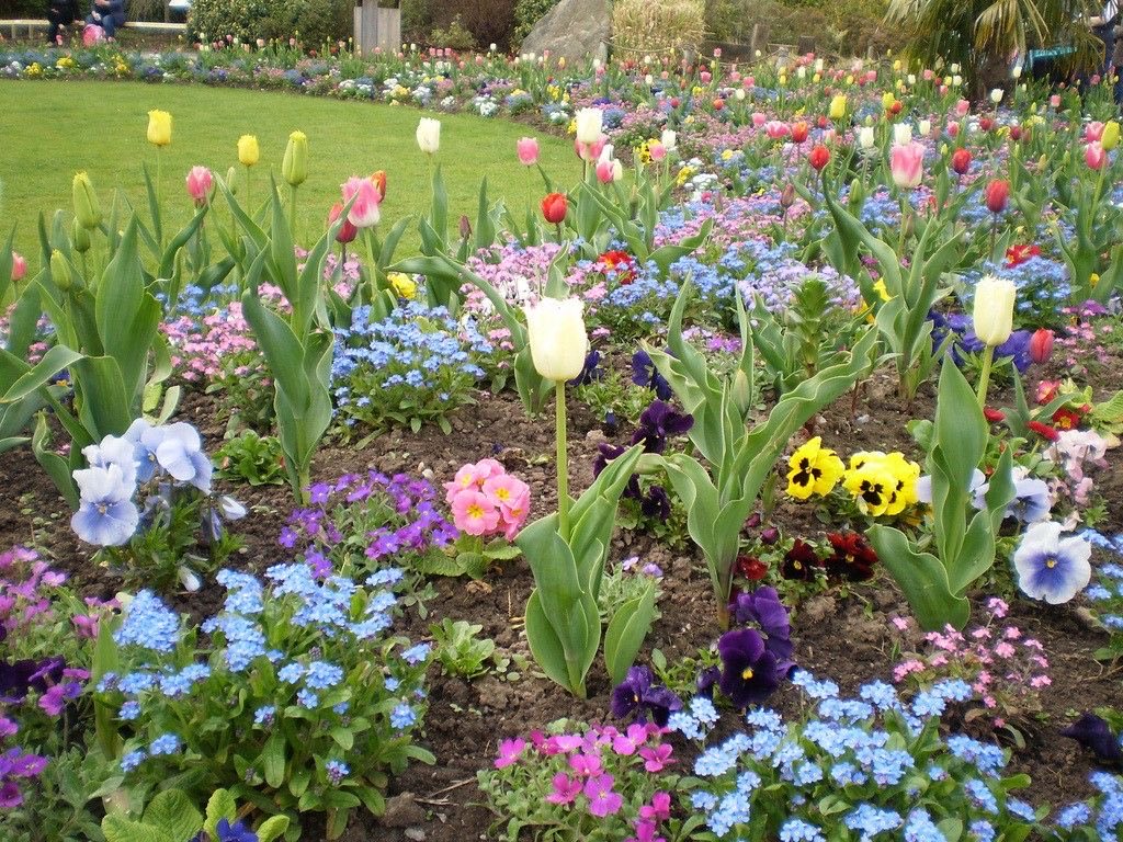 Lily ✮⋆˙ tweet media