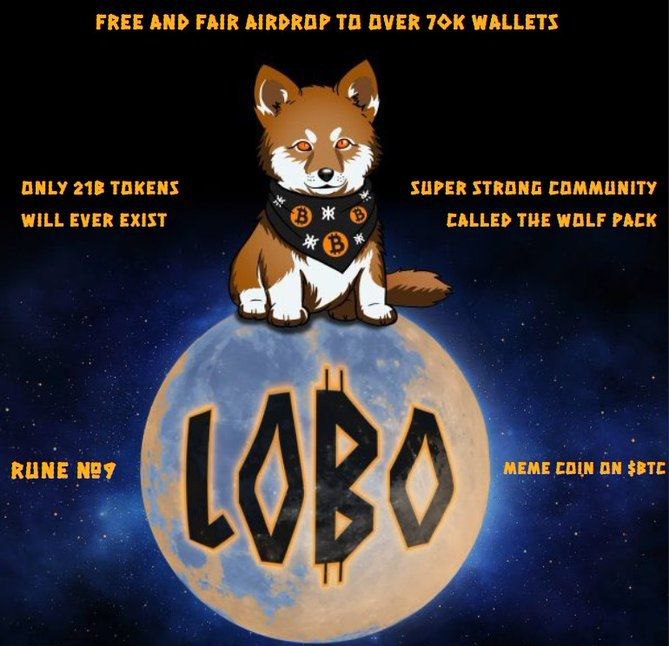 I know, we all know, that listing managers need to show their hard work filtering and selecting the best projects to achieve that coveted promotion. I challenge all managers who consider themselves great and efficient to mention the $Lobo project, a memecoin developed on the BTC