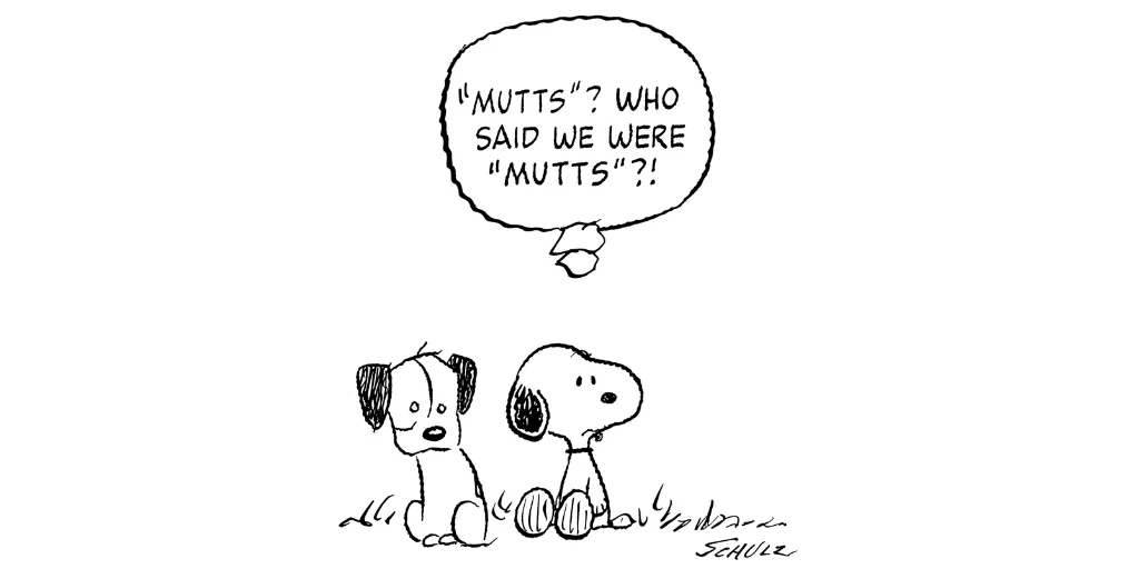 MUTTScomics's tweet photo. Over at the MUTTTS blog, we are celebrating Snoopy and Earl, and the Anniversaries of Peanuts and MUTTS

https://t.co/4B8izc4chj. https://t.co/HdDdLh0vJn
