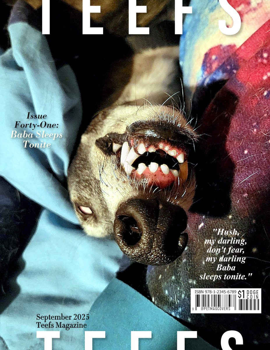 Baba, on the cover of TEEFS Magazine. (Bluesky: @simmagolda)

Featuring: The Baba Sleeps Tonite.