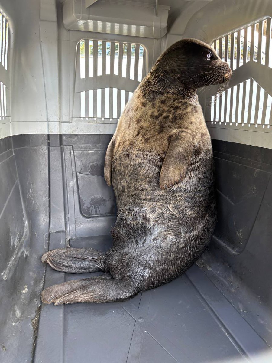 yeezusNuke37's tweet image. 