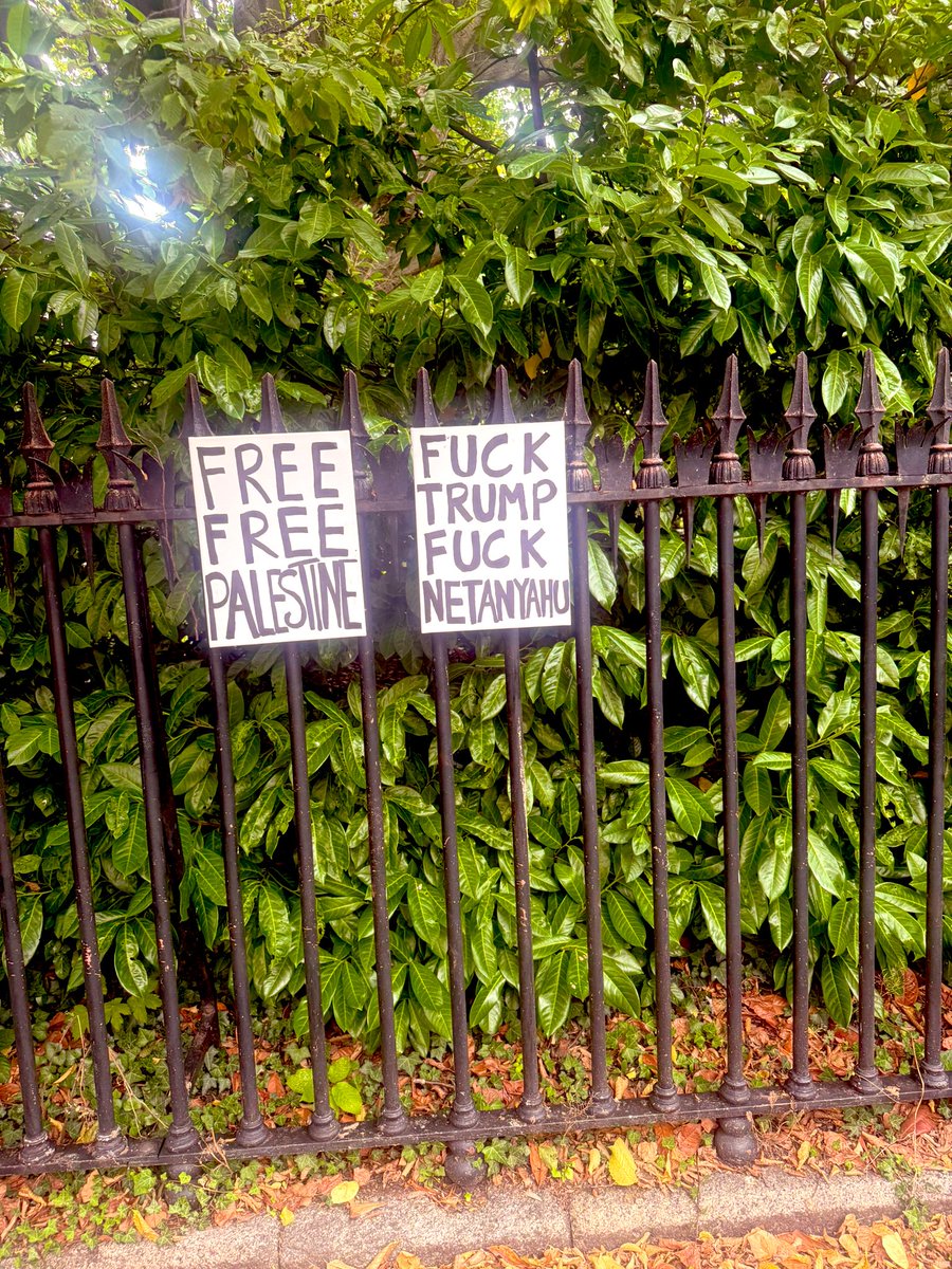 Stephen's Green, Dublin. 💚