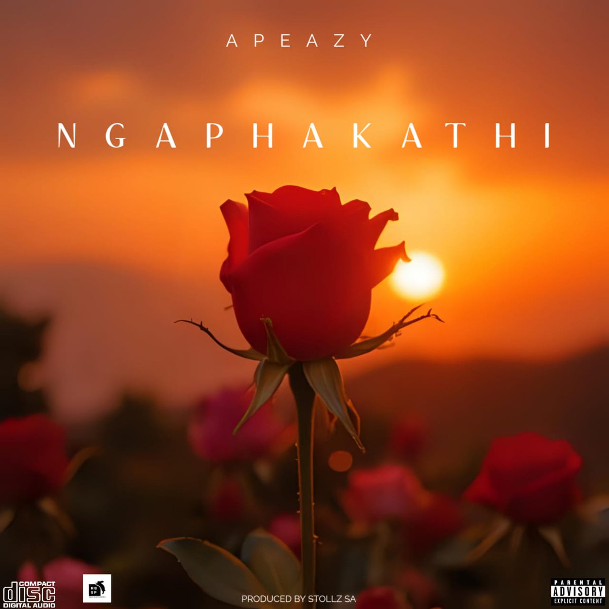 RabeatStudioPro's tweet image. Rabeat Studio Production Presents

1. Stollz SA - Tshepiso Album (26 SEPTEMBER 2025)
2. Apeazy - Ithemba (24 OCTOBER 2025)
3. Apeazy - Ngaphakathi (28 NOVEMBER 2025)

#Music&amp;amp;Vibes #HitFactory