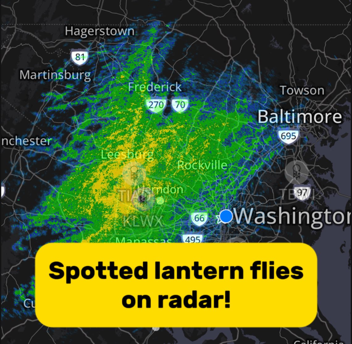 Matthew Cappucci tweet media