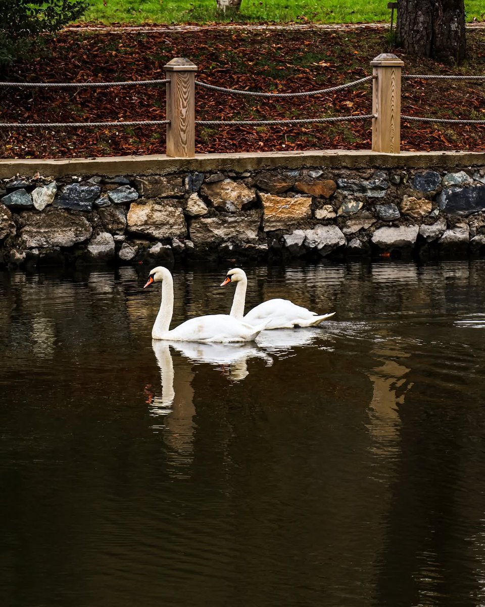 Sonbaharda dökülen yapraklarla bir başka güzel olan Sarıyer, Atatürk Arboretumu’na git.