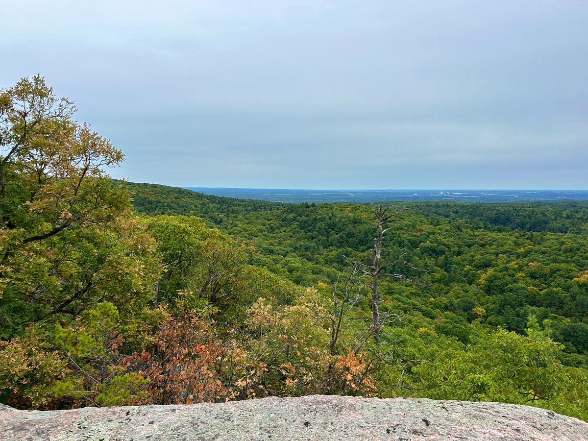 Mary Anne Ivison tweet media