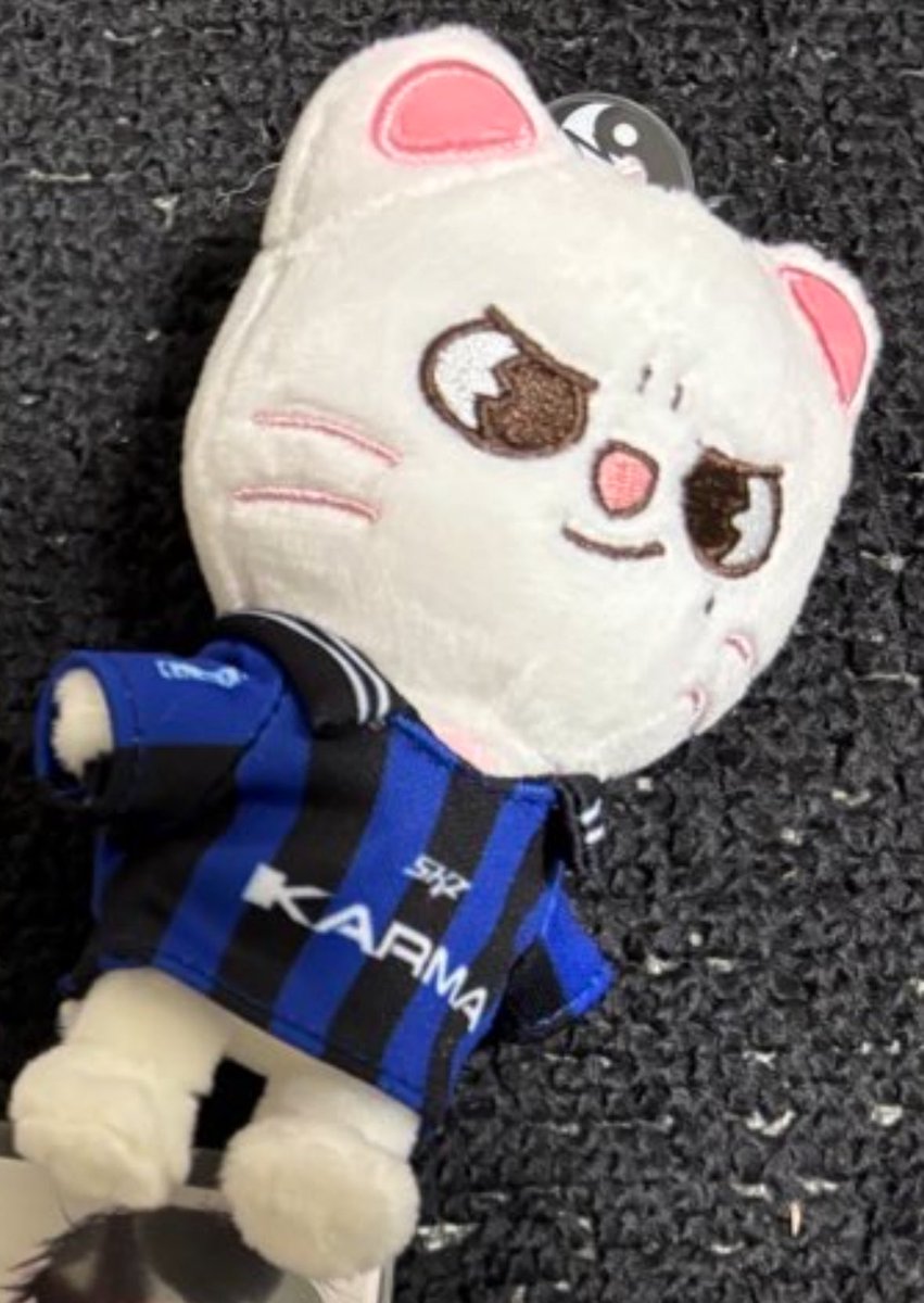 skz StrayKids straykids KARMA
交換

譲 画像

求 leebit🐰

郵送希望です📮
お気軽にお声かけください！