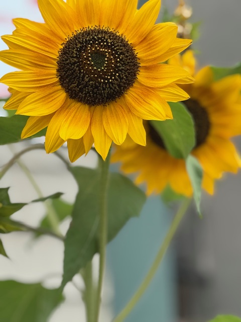 Low-income households spend a disproportionately large share of their income on energy bills. At Bright Saver,  we're on a mission to bring plug-in solar to the U.S. so that everyone can generate clean power from the ☀️ for lower energy costs &amp; increased resilience. Join us!