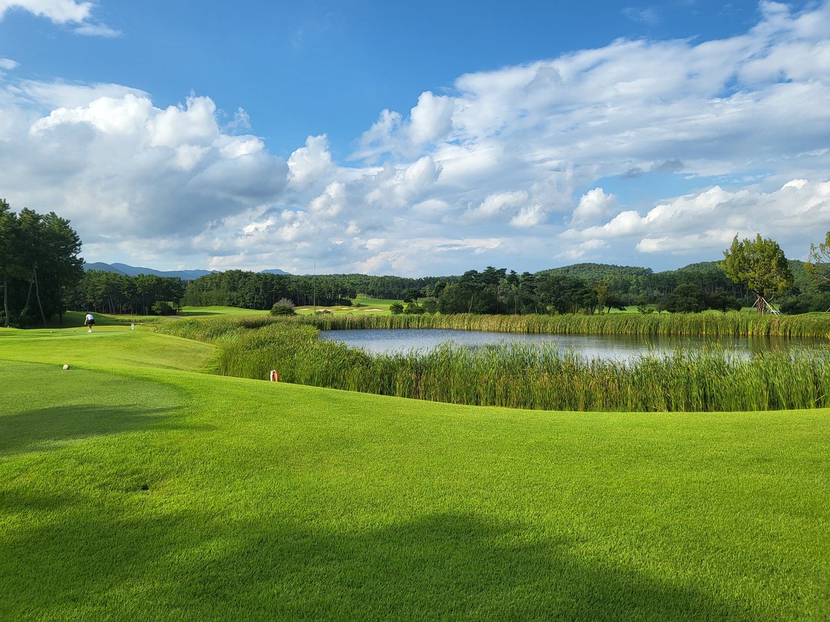 베이사이드cc
18홀끝남 머다?19홀
#섹트 #부산#골프#유부녀#백돌이