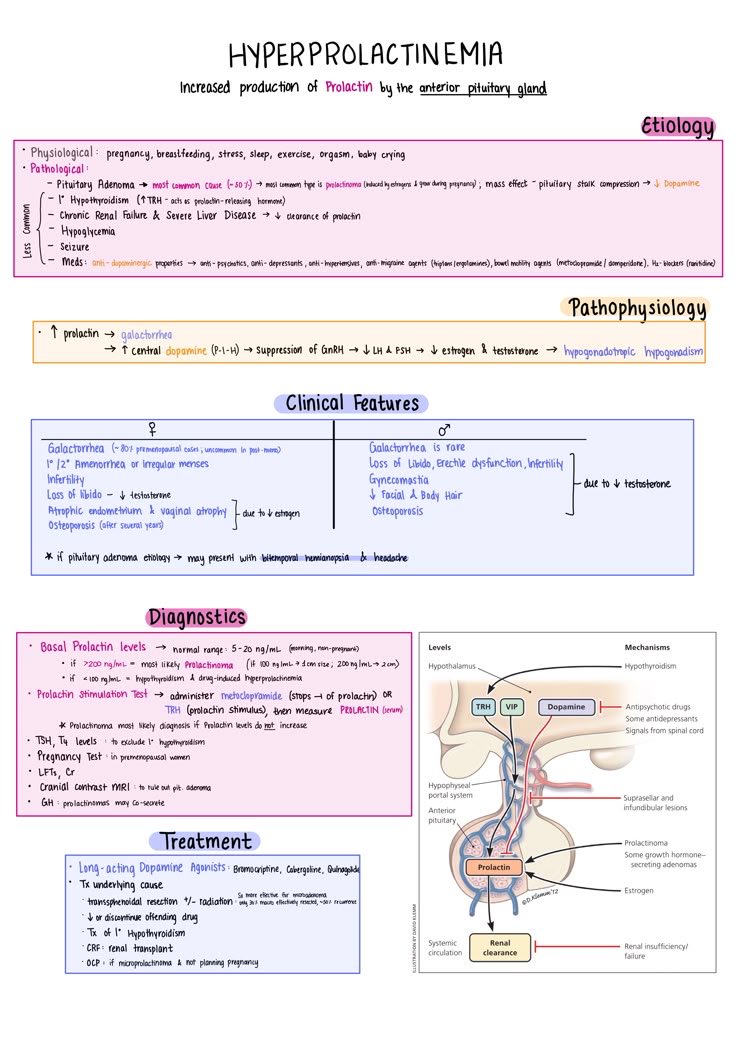 DrMedica_13's tweet image. Hyperprolactinemia ✨

🗣️😇🗣️