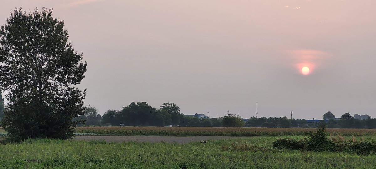 Hazy Saturday morning 🌄  #RichmondBC #sunrise 
Enjoy your weekend 🌿