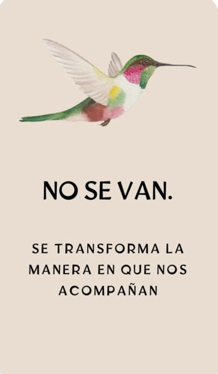 Mercedes Rodríguez tweet media