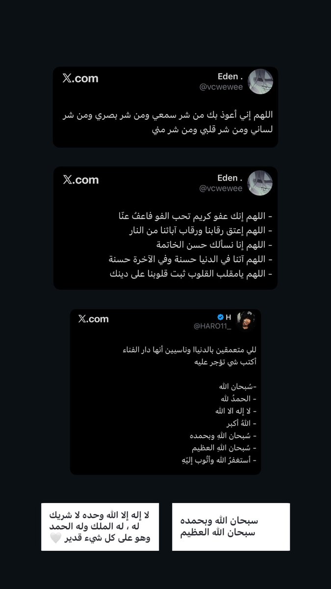 راينو 🌟 tweet media