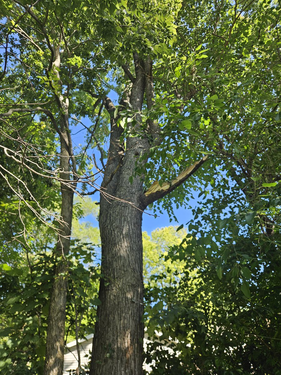 Kayde_Woof tweet media