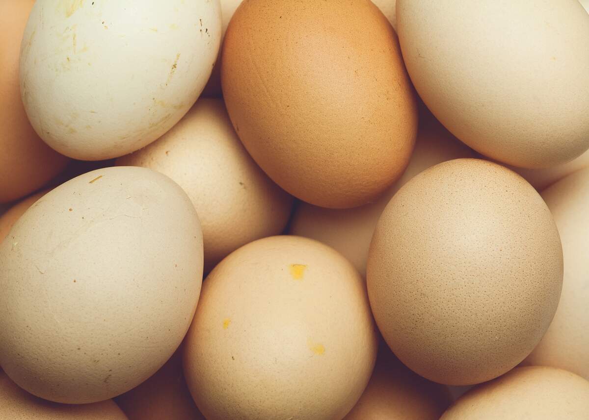 Sep 6: 🥚🤝🎯 Happy Great Egg Toss Day! Grab a partner, head to an open spot, and see how far you can toss without a crack. Try hard-boiled to reduce mess, or plan a quick cleanup. Share your best catch or funniest fail. #GreatEggTossDay #EggToss