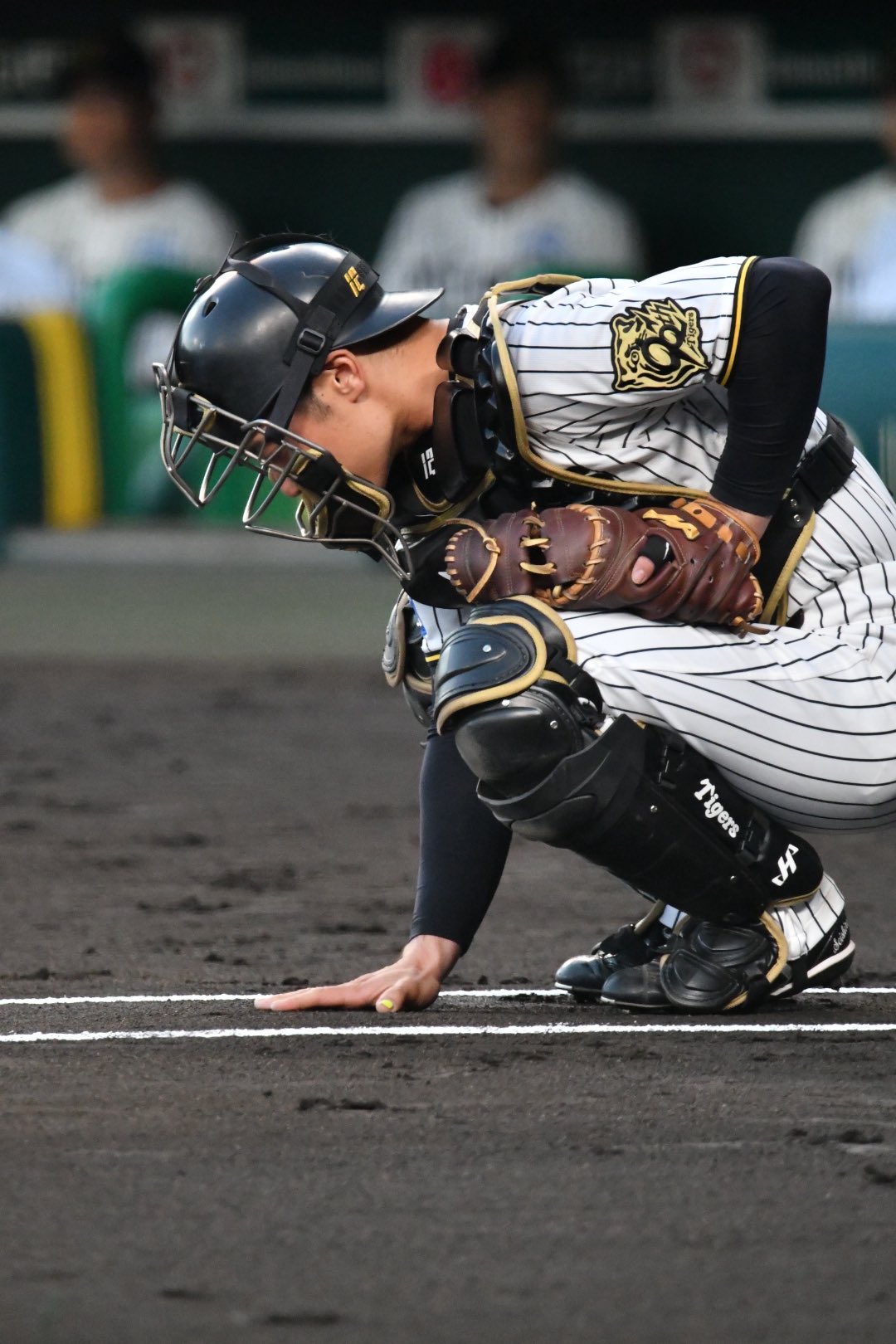 阪神タイガース ブラックユニホーム 坂本誠志郎 阪神タイガース 坂本誠志郎 ユニフォーム ビジター 黒 Mサイズ