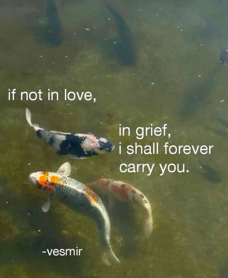 Lovandfear's tweet photo. https://t.co/b3DjxMwYlm