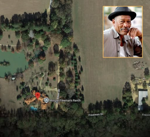 Morgan Freeman is turning his entire 124-acre ranch in Mississippi into sanctuary for bees. 

Alarmed by collapsing bee populations, Freeman decided to act back in 2014. He imported 26 beehives from Arkansas to his ranch in Mississippi and planted fields of clover, lavender, and