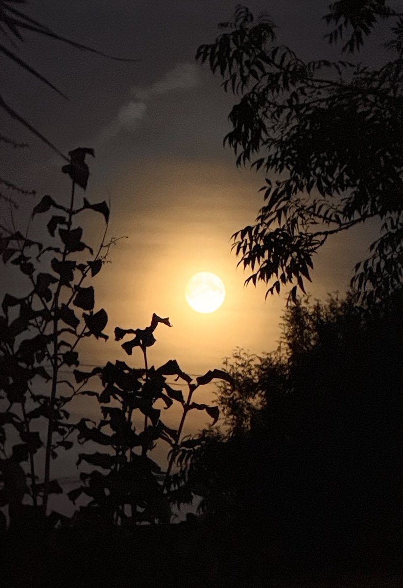 𝔈𝔮𝔲𝔞𝔱𝔢 𝔗𝔥𝔢 𝔇𝔦𝔰𝔰𝔬𝔫𝔞𝔫𝔠𝔢 tweet media