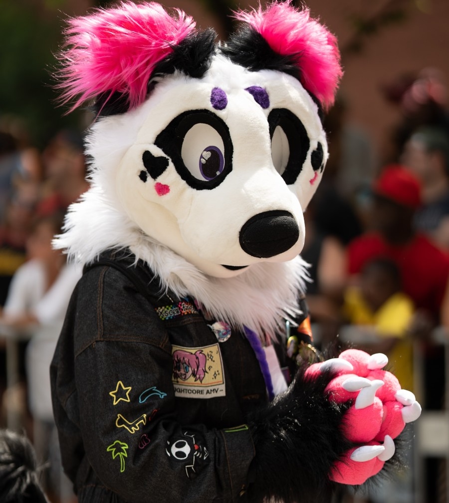 PandaPuppyRaver!!🏳️‍⚧️ tweet media
