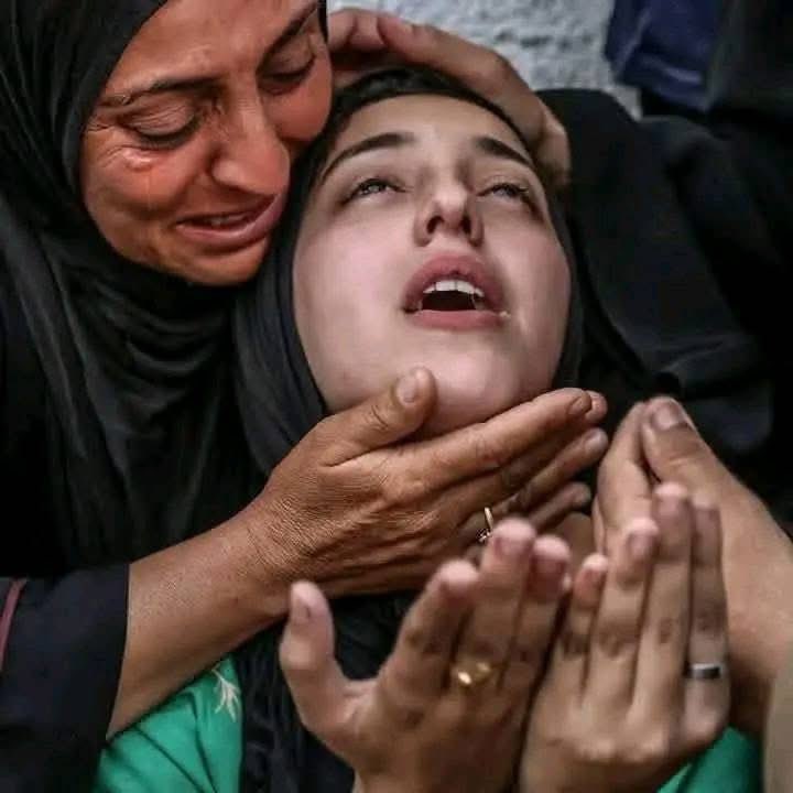 إذا انفض الناس عن غــ.. ــز ة وملوا من أخبارها

فلا تتخلى عنها حتى لو كنت وحدك💔