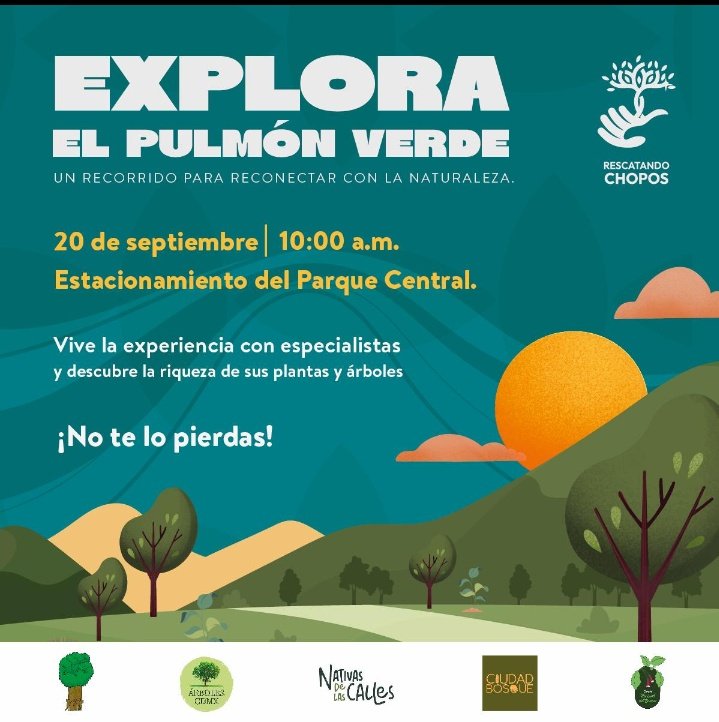 Lomas Estrella Chaponeros 🇲🇽 (@chaponerosce) on Twitter photo Vamos a tener una reunión entre amig@s ¿Nos acompañas?
¡Te esperamos el Sábado 20 de Septiembre!
<a href="/RescatandoChopo/">Rescatando Chopos</a> 
<a href="/arbolescdmx/">🍉 Árboles de la Ciudad de México 🍉</a> 
<a href="/don_helecho/">𝑫𝒐𝒏 𝑯𝒆𝒍𝒆𝒄𝒉𝒐 🌿</a> 
<a href="/ciudadbosque/">CIUDAD BOSQUE</a> 
<a href="/_deserticole/">David 🐜⛈️</a> 
<a href="/nativascalles/">Nativas de las Calles</a> 
<a href="/alekatos/">Ale__Gonz</a> 
<a href="/rompe_platos/">Rompeplatos 🏳️🌈</a> 
Conozcamos nuestras plantas NATIVAS Vamos a tener una reunión entre amig@s ¿Nos acompañas?
¡Te esperamos el Sábado 20 de Septiembre!
<a href="/RescatandoChopo/">Rescatando Chopos</a> 
<a href="/arbolescdmx/">🍉 Árboles de la Ciudad de México 🍉</a> 
<a href="/don_helecho/">𝑫𝒐𝒏 𝑯𝒆𝒍𝒆𝒄𝒉𝒐 🌿</a> 
<a href="/ciudadbosque/">CIUDAD BOSQUE</a> 
<a href="/_deserticole/">David 🐜⛈️</a> 
<a href="/nativascalles/">Nativas de las Calles</a> 
<a href="/alekatos/">Ale__Gonz</a> 
<a href="/rompe_platos/">Rompeplatos 🏳️🌈</a> 
Conozcamos nuestras plantas NATIVAS