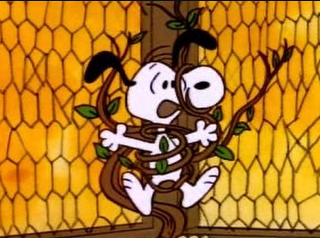 merlin x snoopy tweet media